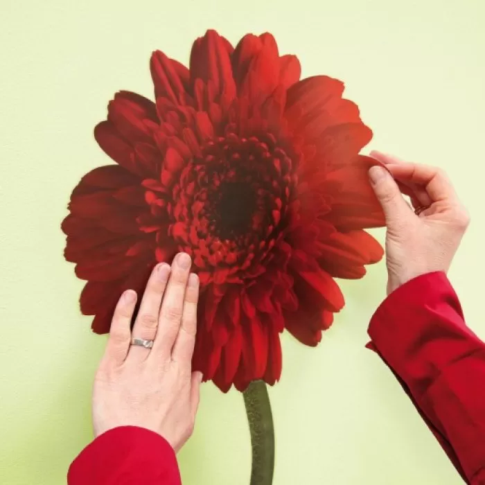 17011 Stiker Gerbera 115*30cm - img 2